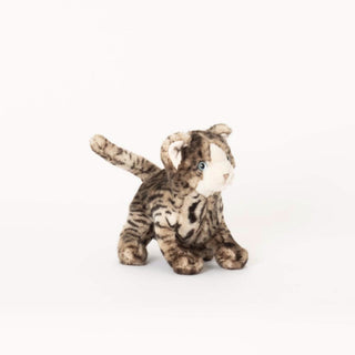 Ma peluche Chat Gustave