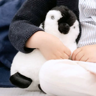 Penguin Raymond