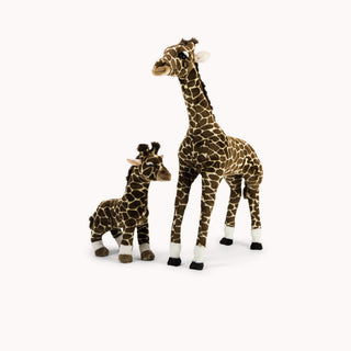 Giraffe Zoé