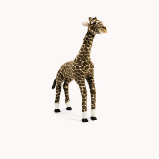 Giraffe Zoé