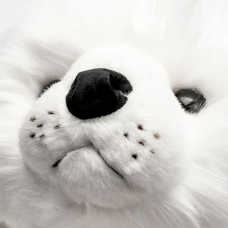 Seal Arsène