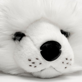 Seal Arsène