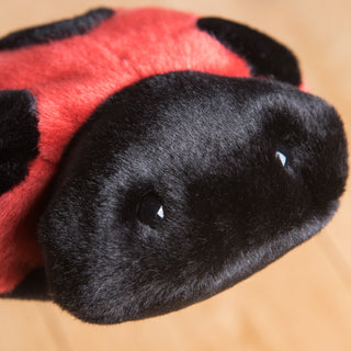 Détail d'une tête de coccinelle , savoir-faire, marque française, La Pelucherie