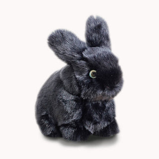 Lapin Léon vue de profil La Pelucherie 
