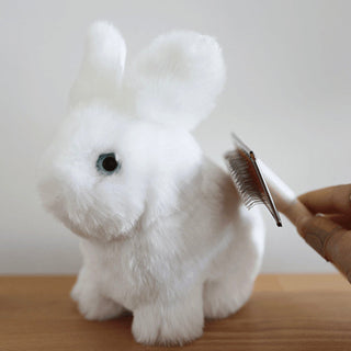 Brosse carde