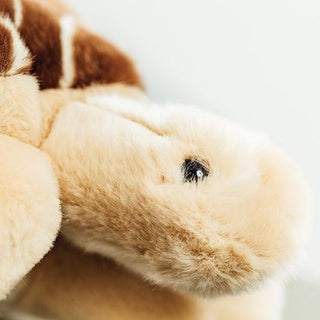 Ma peluche Tortue Rosalie