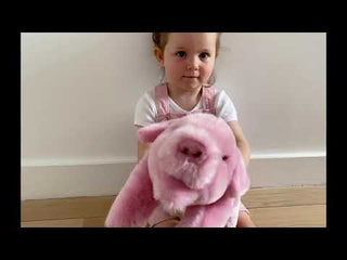 Peluche de la ferne cochon, vue de face, savoir-faire, magasin peluche, La Pelucherie