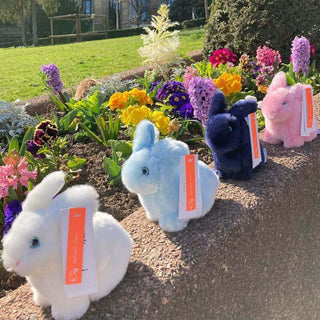 Photo de peluche lapin réaliste pour enfant, La Pelucherie 