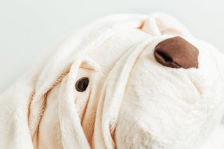 Vue de face peluche chien Albert, La Pelucherie 