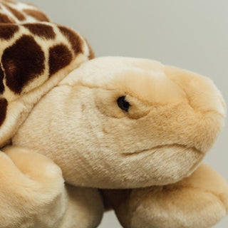 Ma peluche Tortue Rosalie